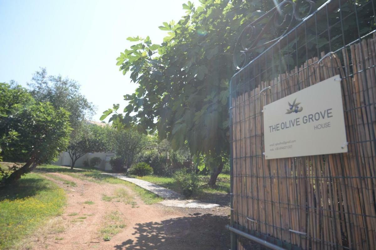 The Olive Grove House Villa Kasziópi Kültér fotó